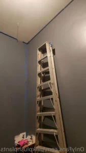11930849