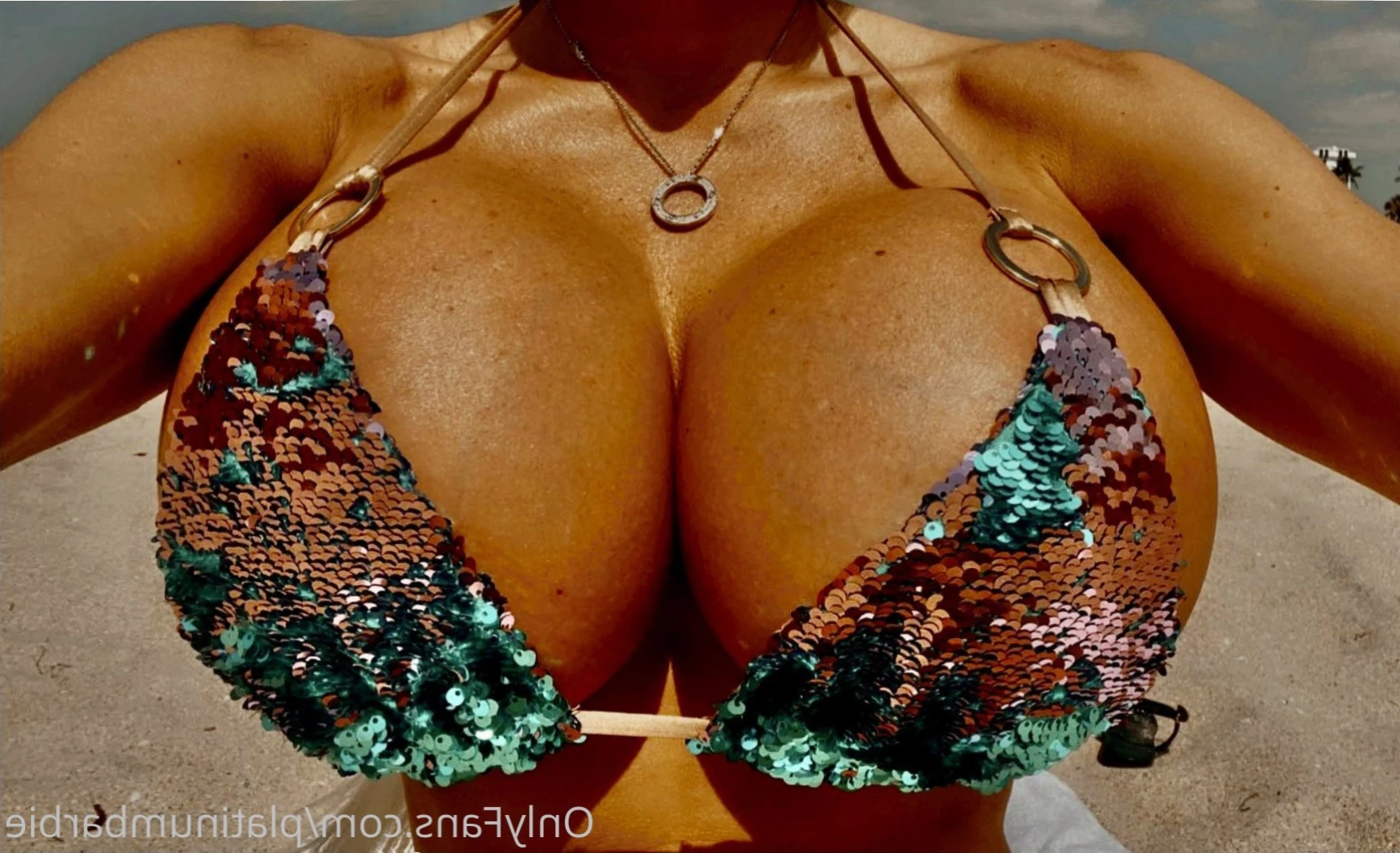 Bombshell Skyler [ plasticbarbie2000 ] Onlyfans leaked photo 14146087 on Hotleaks.tv