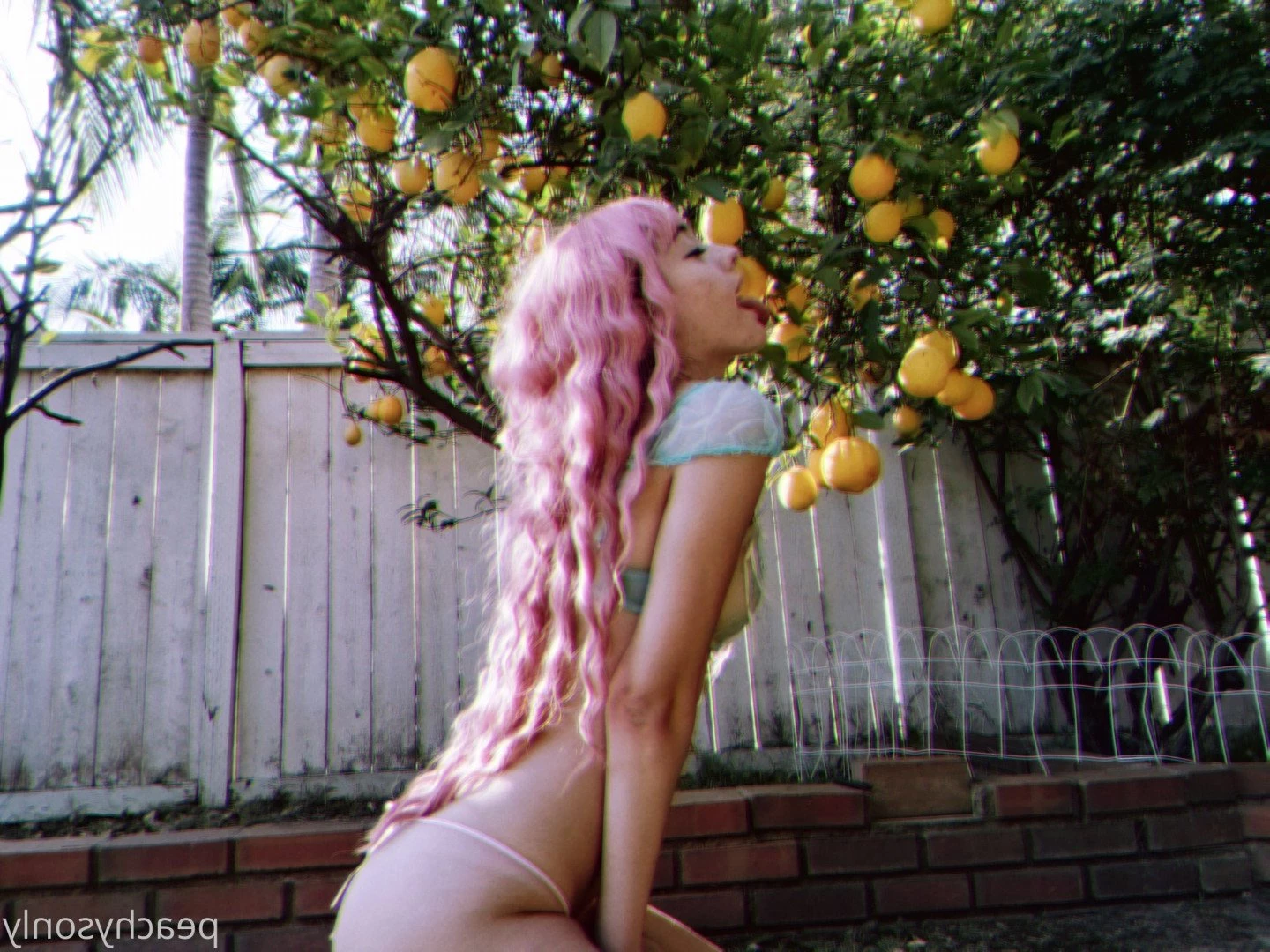 ♡𝕡𝕠𝕔𝕜𝕖𝕥 𝕤𝕝𝕦𝕥♡ [ peachysonly ] Onlyfans leaked photo 961573 on Hotleaks.tv
