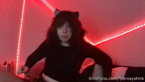 15336382