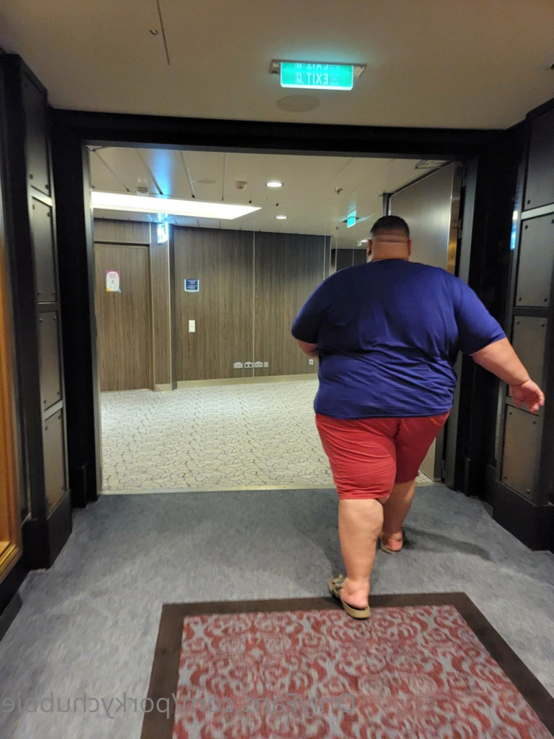 Two Fat Guys In Love 🥰 🐷 [ porkychubbie ] Onlyfans leaked photo 16067230 on Hotleaks.tv