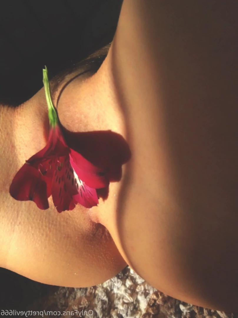 Pretty Evelyn [ pretty-evelyn ] Onlyfans leaked photo 14058578 on Hotleaks.tv