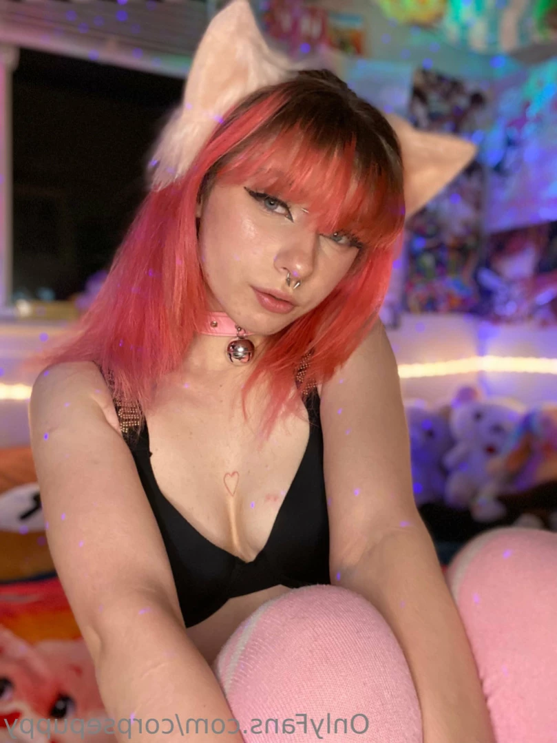 Your Pet Dog! [ prettyinpuppy ] Onlyfans leaked photo 11745011 on Hotleaks.tv