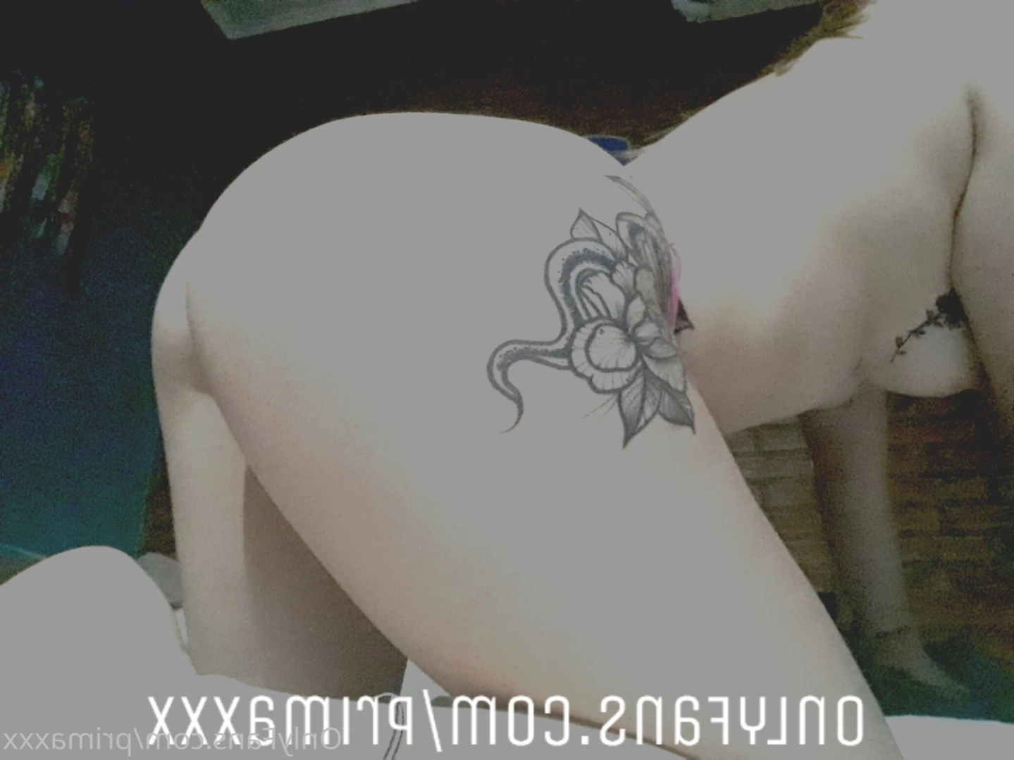 🔥VIDEOCALLS🔥 Prima [ primaxxx ] Onlyfans leaked photo 14068606 on Hotleaks.tv
