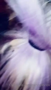 PennyLove [ pennylovlov ] Onlyfans leaked video 1712316 on Hotleaks.tv