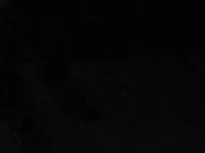 15078124