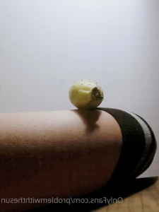 15567565