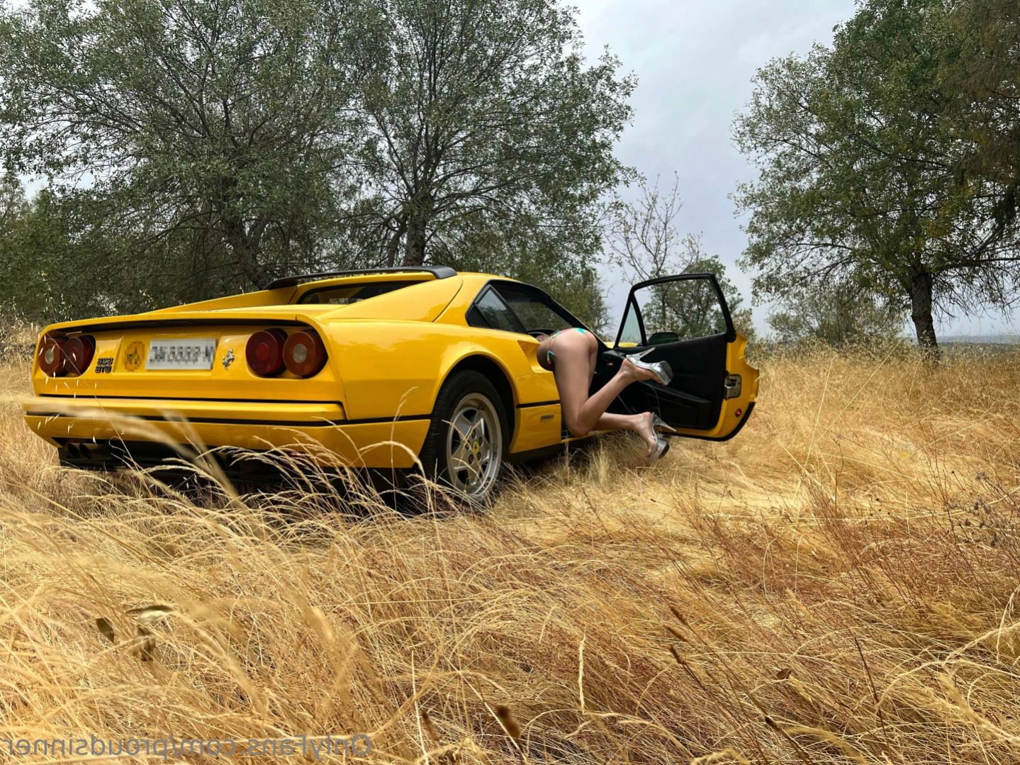 proudsinner Onlyfans leaked photo 12945987 on Hotleaks.tv