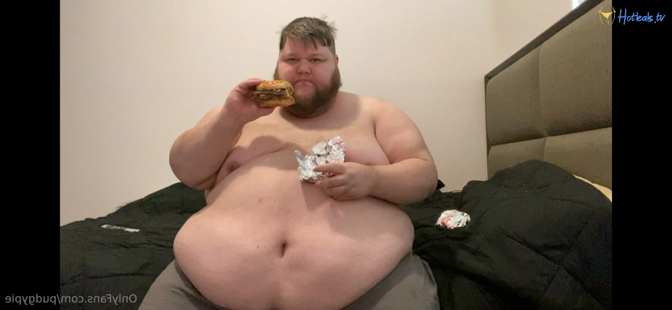 PudgyPie 12293156