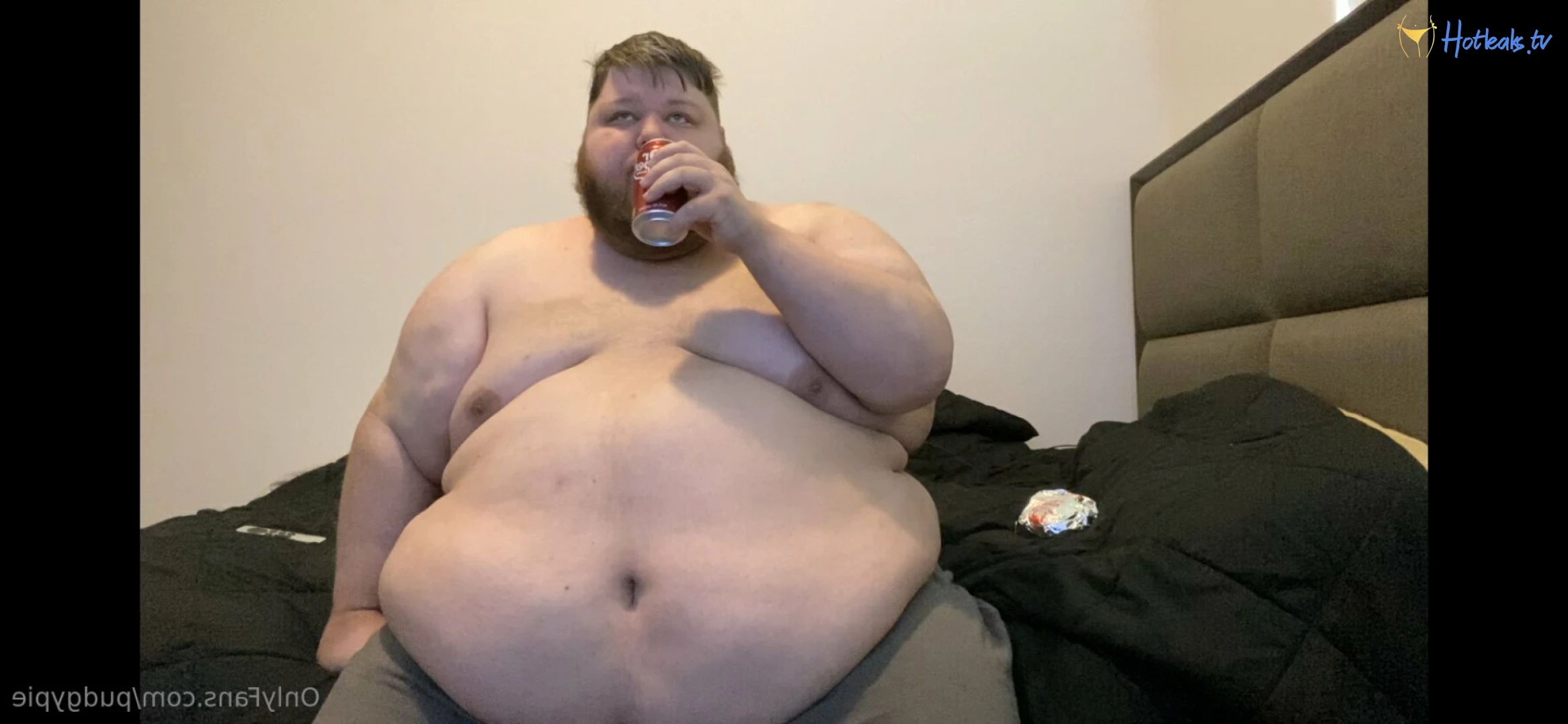 PudgyPie 13721469