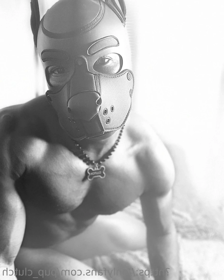 Jabarri Pup [ pup_clutch ] Onlyfans leaked photo 15567357 on Hotleaks.tv