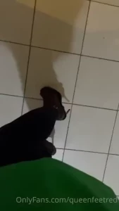 18082764