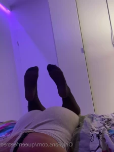 16322739