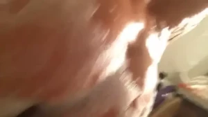 18081945