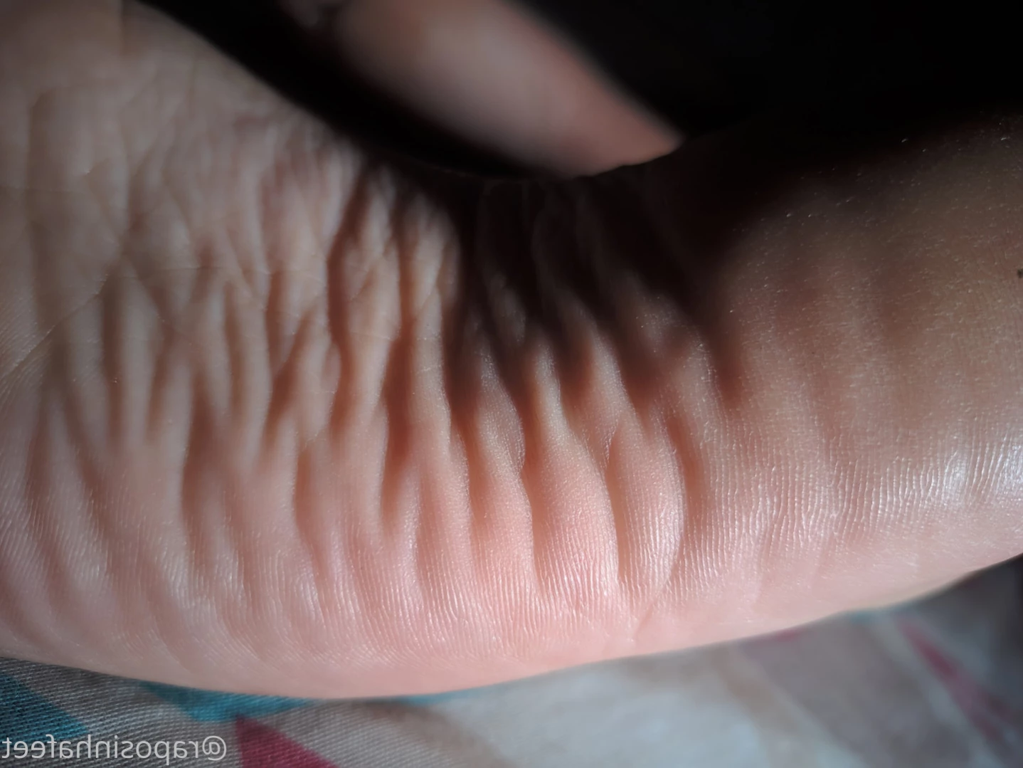 Vulpe Feet [ vulpefeet ] Onlyfans leaked photo 13822002 on Hotleaks.tv