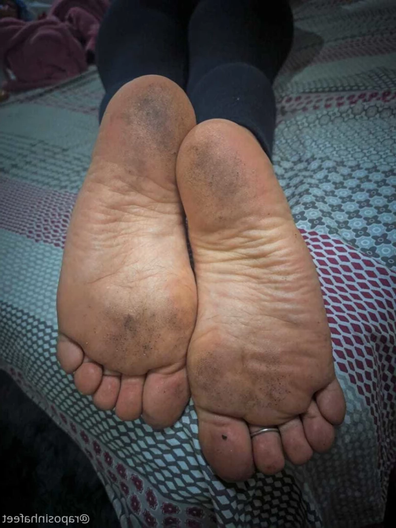 Vulpe Feet [ vulpefeet ] Onlyfans leaked photo 16251050 on Hotleaks.tv