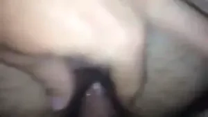 15151723