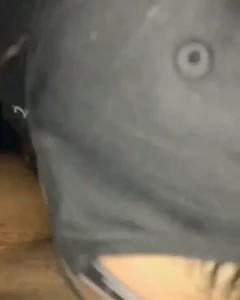 15440184