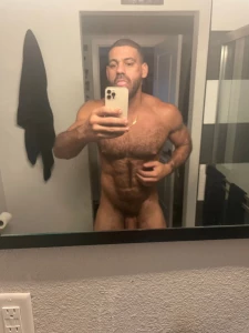 15696411