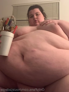 13741533