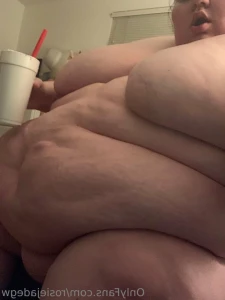 13741690
