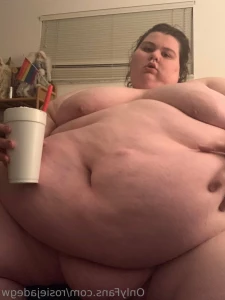 16015668
