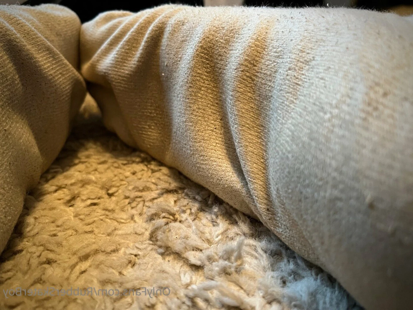 rubberskaterboy Onlyfans leaked photo 14359312 on Hotleaks.tv