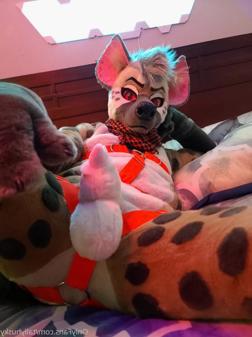 ⛧ Ryff Hyena ⛧ [ ryffhyena ] Onlyfans leaked photo 13741104 on Hotleaks.tv