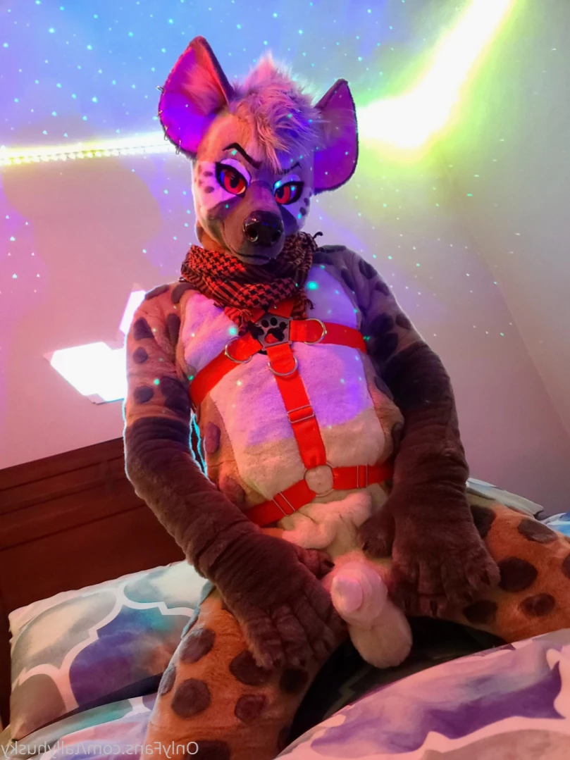 ⛧ Ryff Hyena ⛧ [ ryffhyena ] Onlyfans leaked photo 16165799 on Hotleaks.tv