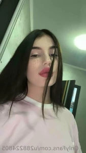 16237205