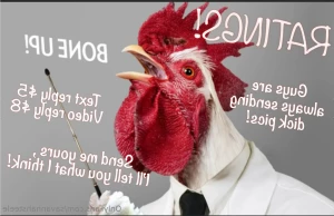 16237922