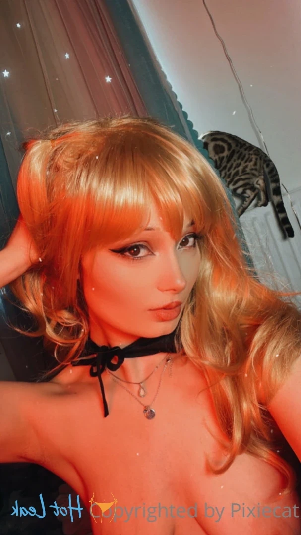 pixiecat Onlyfans leaked photo 12249439 on Hotleaks.tv