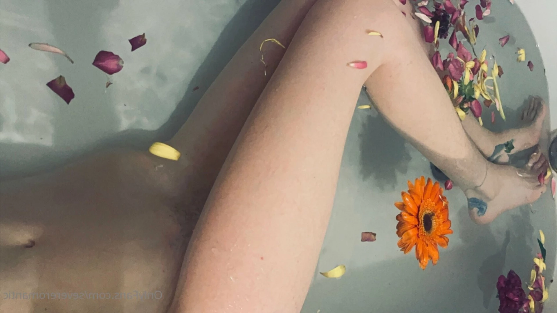 Lithe lite reels [ severeromantic ] Onlyfans leaked photo 14324292 on Hotleaks.tv