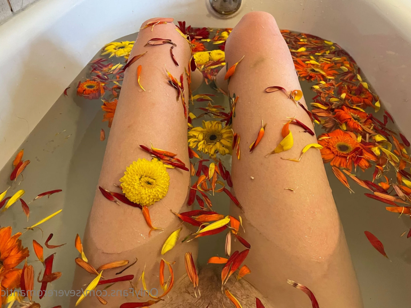 Lithe lite reels [ severeromantic ] Onlyfans leaked photo 14324502 on Hotleaks.tv