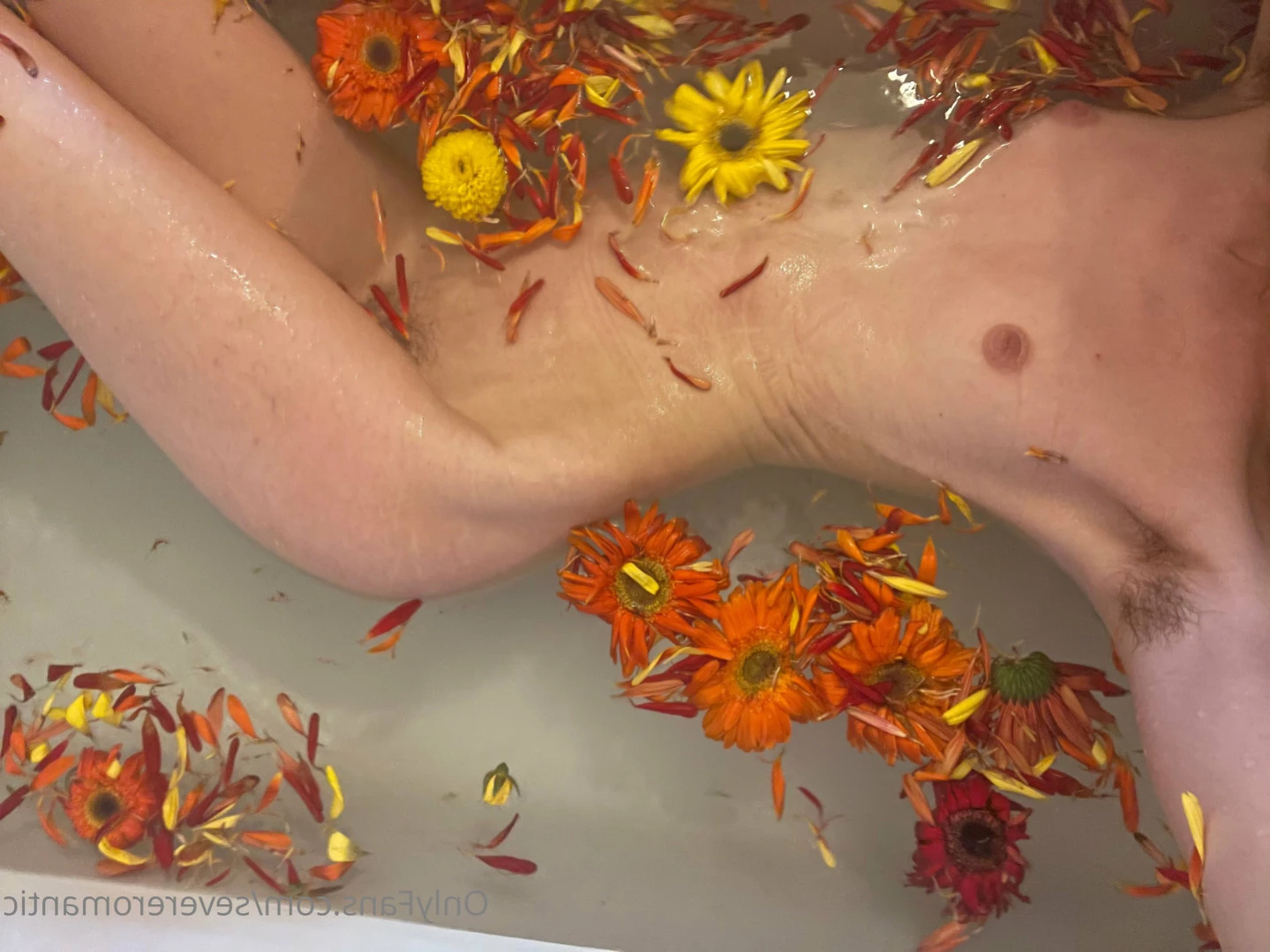 Lithe lite reels [ severeromantic ] Onlyfans leaked photo 15590117 on Hotleaks.tv