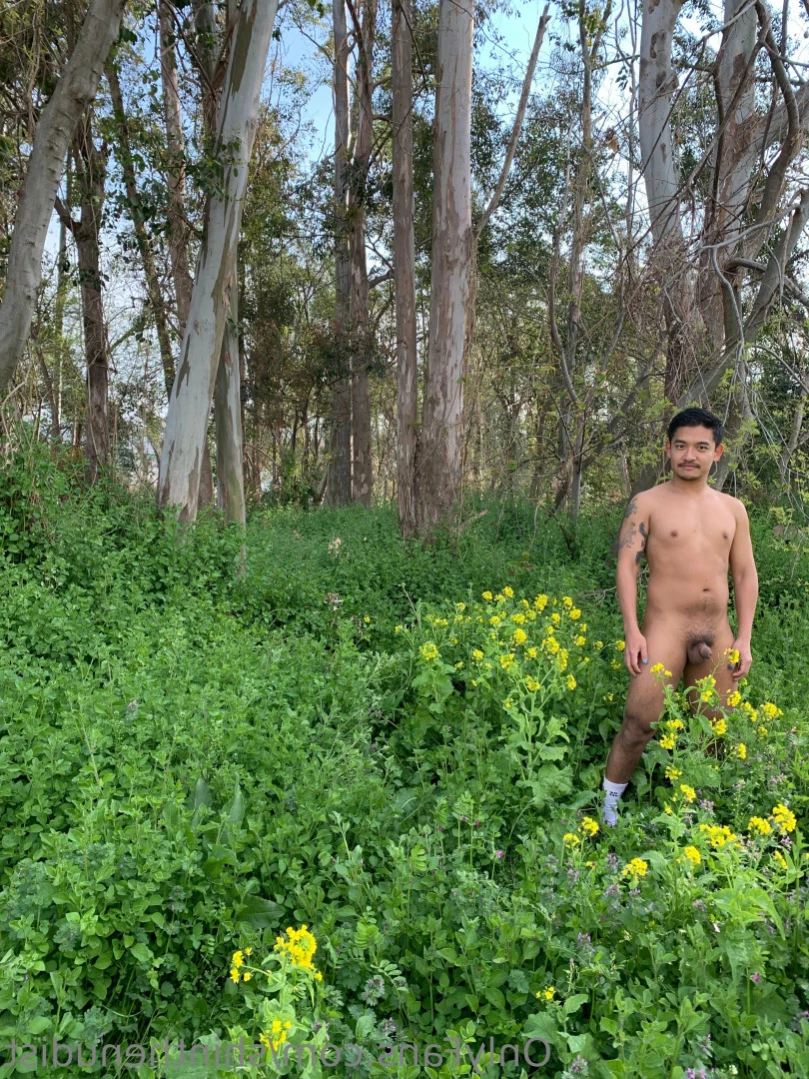 Shin The Nudist [ shinthenudist ] Onlyfans leaked photo 14263332 on Hotleaks.tv