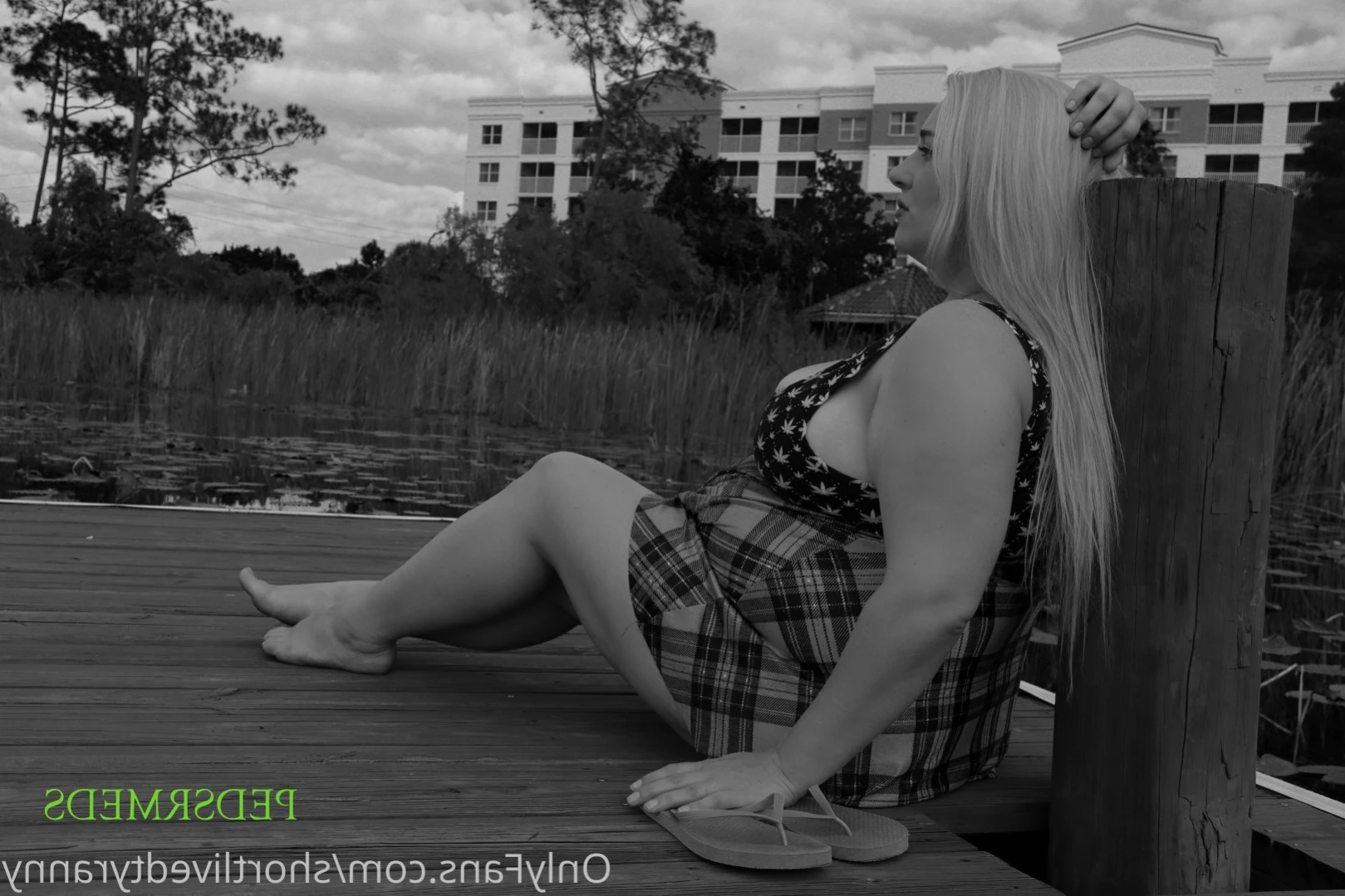 shortlivedtyranny Onlyfans leaked photo 14249903 on Hotleaks.tv