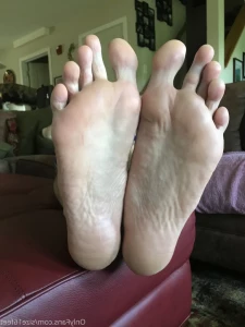 14465379