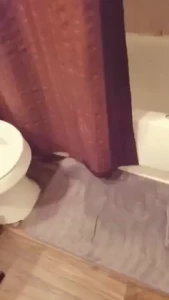 Skye Stone [ skyestone9 ] Onlyfans leaked video 18077362 on Hotleaks.tv