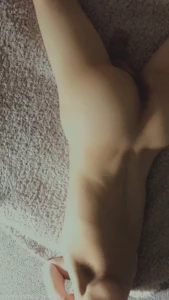 15586010