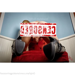 15262931