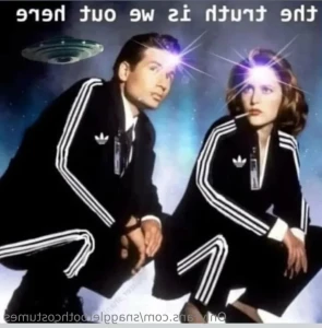 15902954