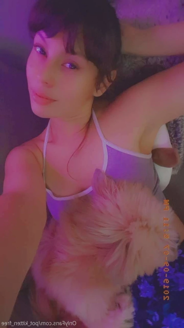 YOUR POCKET KITTEN 😇 [ softcore_kitten ] Onlyfans leaked photo 10904578 on Hotleaks.tv