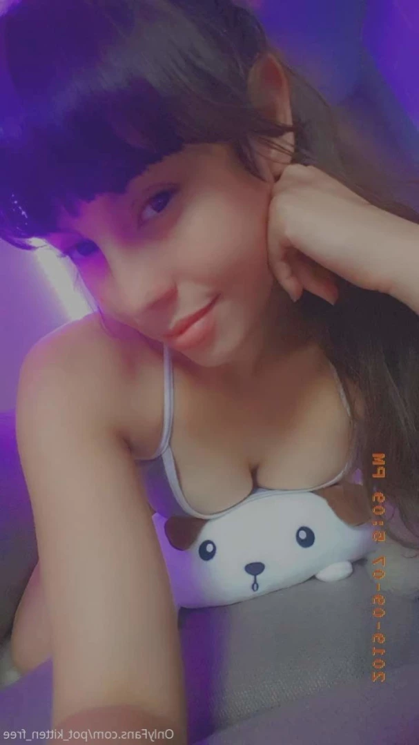 YOUR POCKET KITTEN 😇 [ softcore_kitten ] Onlyfans leaked photo 11326216 on Hotleaks.tv