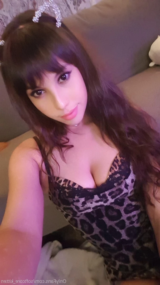 YOUR POCKET KITTEN 😇 [ softcore_kitten ] Onlyfans leaked photo 12113671 on Hotleaks.tv