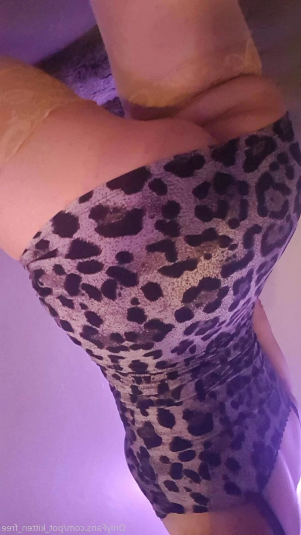 YOUR POCKET KITTEN 😇 [ softcore_kitten ] Onlyfans leaked photo 12908206 on Hotleaks.tv