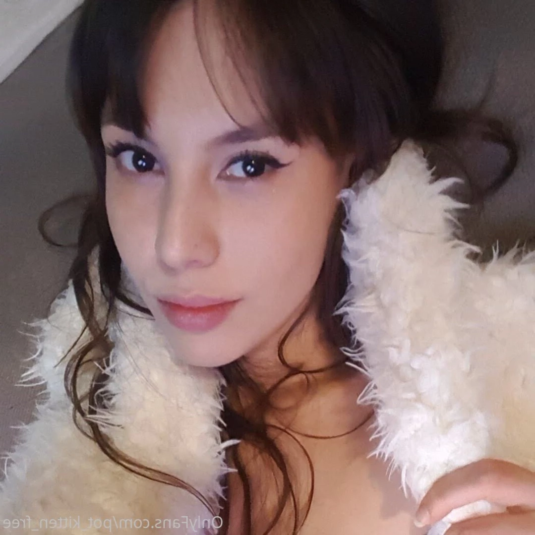YOUR POCKET KITTEN 😇 [ softcore_kitten ] Onlyfans leaked photo 14240987 on Hotleaks.tv