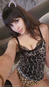 15187790