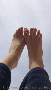 15623072
