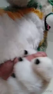 18077076